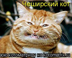 Котоматрица: Чеширский кот