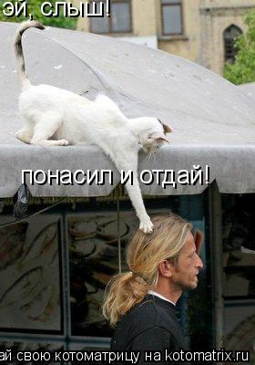 Котоматрица: эй, слыш!  понасил и отдай!