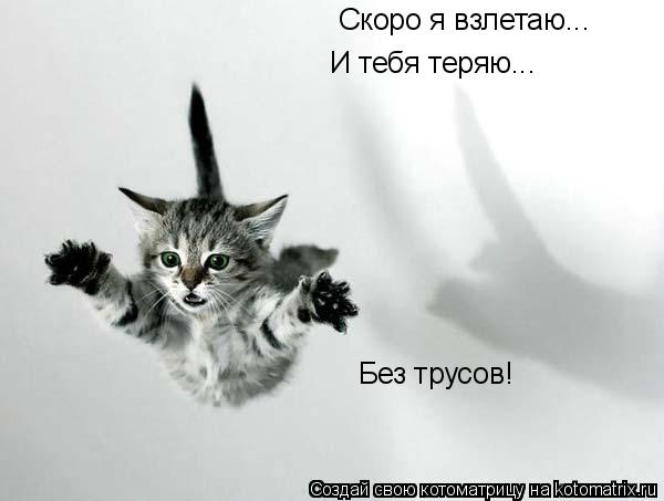 Котоматрица: Скоро я взлетаю... И тебя теряю... Без трусов!