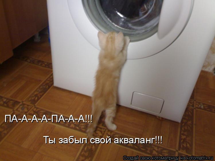 Котоматрица: ПА-А-А-А-ПА-А-А!!! Ты забыл свой акваланг!!!