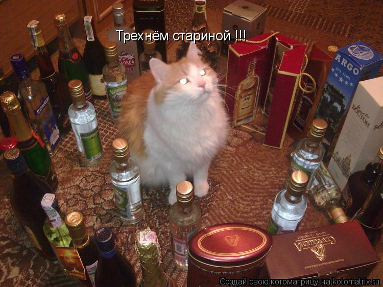 Котоматрица: Трехнём стариной !!!
