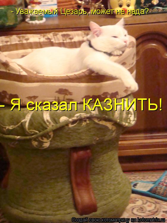 - Уважаемый Цезарь, может не нада? - Я сказал КАЗНИТЬ!... Котоматрица: - Уважаемый Цезарь, может не нада? - Я сказал КАЗНИТЬ!