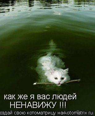 Котоматрица: как же я вас людей НЕНАВИЖУ !!!