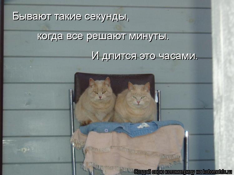 Котоматрица: Бывают такие секунды,  когда все решают минуты.  И длится это часами.