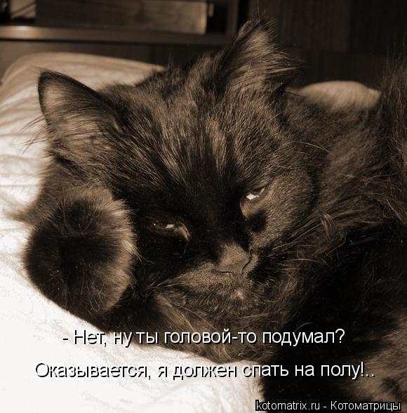 Котоматрица: - Нет, ну ты головой-то подумал? Оказывается, я должен спать на полу!..
