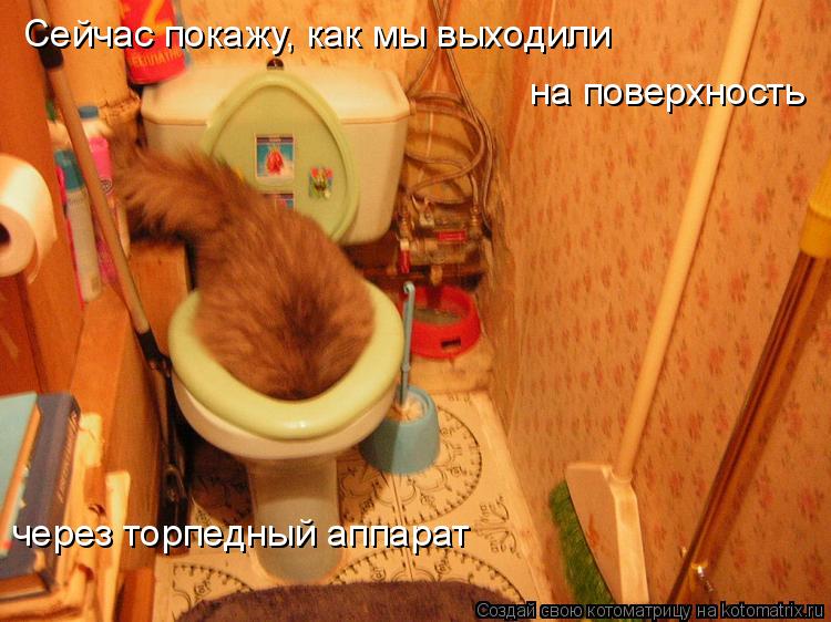 Котоматрица: Сейчас покажу, как мы выходили на поверхность через торпедный аппарат