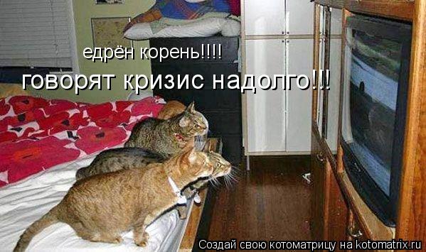 Котоматрица: едрён корень!!!! говорят кризис надолго!!!
