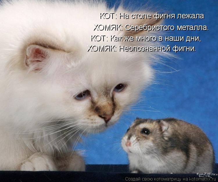 Котоматрица: КОТ: На столе фигня лежала ХОМЯК: Серебристого металла. КОТ: Как же много в наши дни, ХОМЯК: Неопознанной фигни.