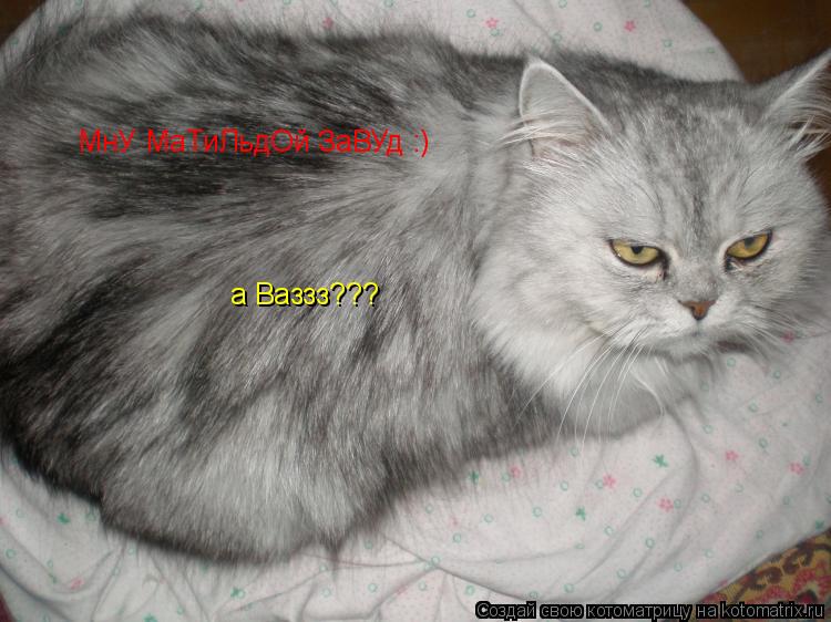 Котоматрица: МнУ МаТиЛьдОй ЗаВУд :) а Ваззз???