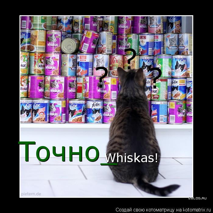 Котоматрица: ? ? ? Whiskas! Точно_