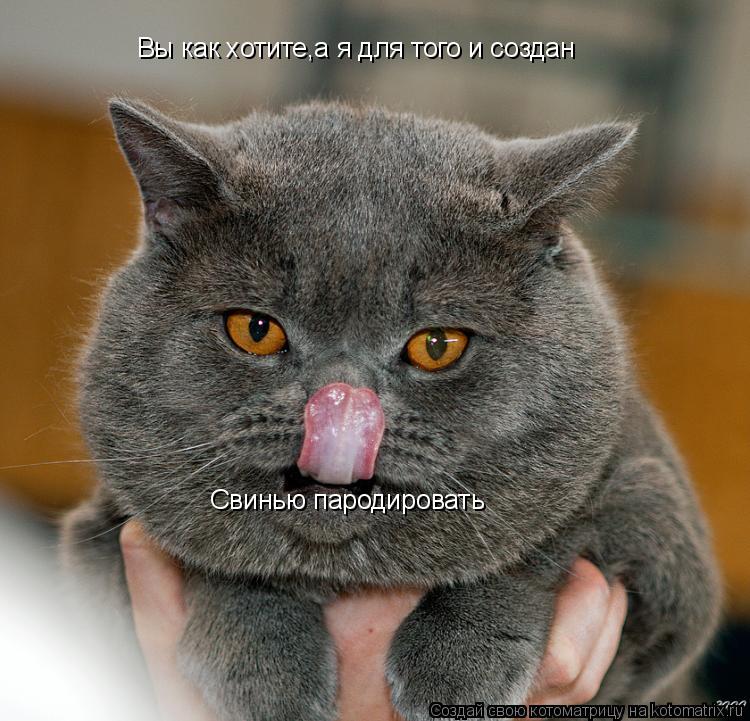 Котоматрица: Вы как хотите,а я для того и создан Свинью пародировать