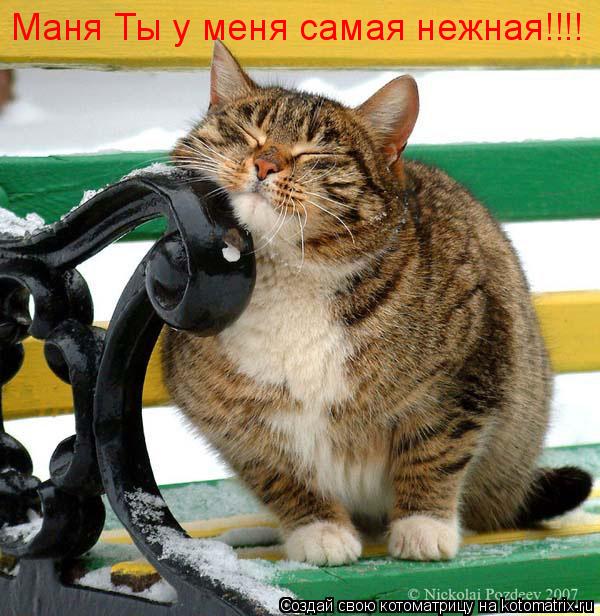 Котоматрица: Маня Ты у меня самая нежная!!!!