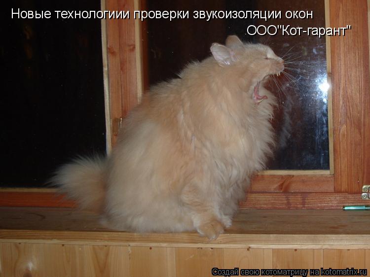 Котоматрица: Новые технологиии проверки звукоизоляции окон ООО"Кот-гарант"