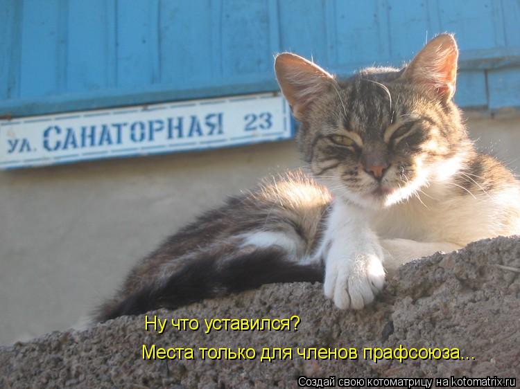 Котоматрица: Ну что уставился? Места только для членов прафсоюза...