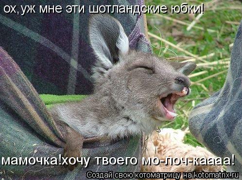 Котоматрица: ох,уж мне эти шотландские юбки! мамочка!хочу твоего мо-лоч-каааа!