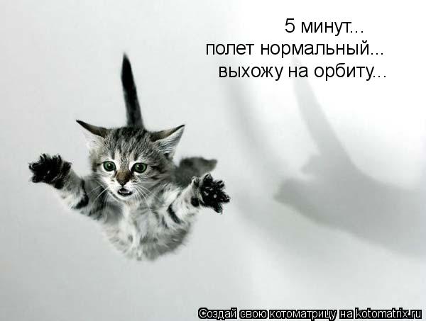Котоматрица: 5 минут... полет нормальный... выхожу на орбиту...