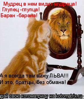 Котоматрица: Мудрец в нем видит мудреца! Глупец -глупца!  Баран -барана! А я всегда там вижу ЛЬВА!!! И это, братцы, без обмана!