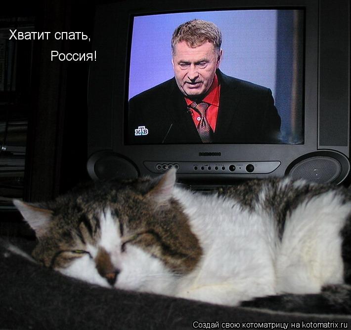 Котоматрица: Хватит спать, Россия!