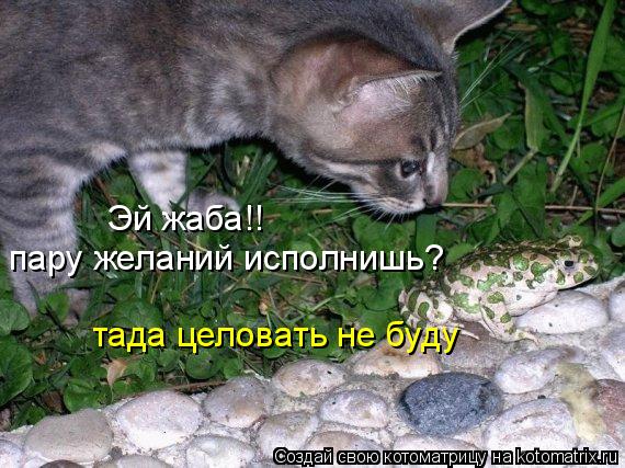 Котоматрица: Эй жаба!! пару желаний исполнишь? тада целовать не буду