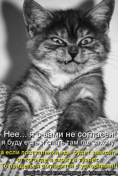 Котоматрица: я буду есть и спать там где захочу а если поступления еды будет зависить  от того где я схожу в туалет... Нее... я с вами не согласен! То придеть
