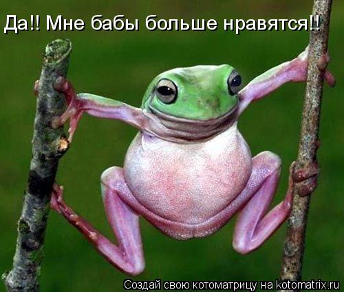 Котоматрица: Да!! Мне бабы больше нравятся!!