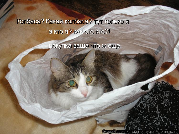 Котоматрица: Колбаса? Какая колбаса? тут только я  а кто я? как это кто?!  покупка ваша что ж еще