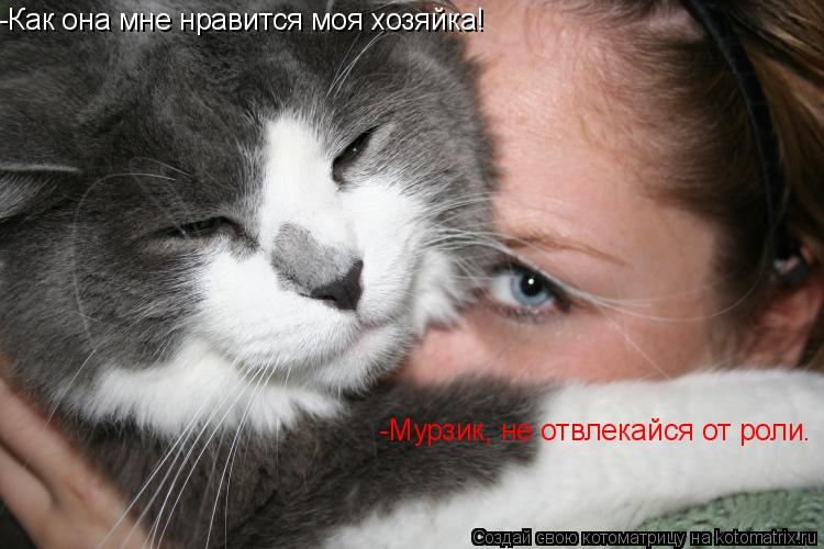 Котоматрица: -Как она мне нравится моя хозяйка! -Мурзик, не отвлекайся от роли.