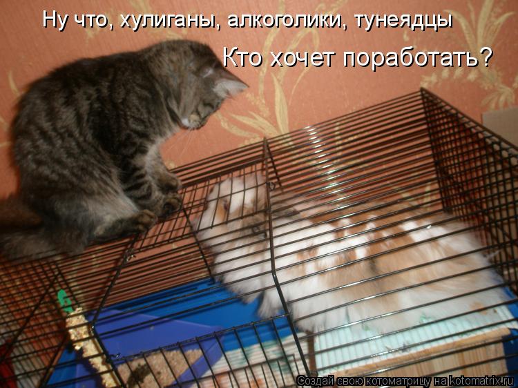 Котоматрица: Ну что, хулиганы, алкоголики, тунеядцы Кто хочет поработать?