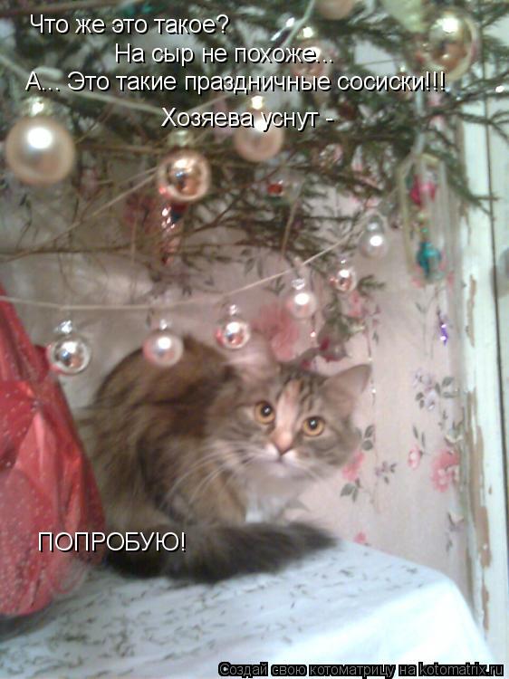 Что же это такое? На сыр не похоже... А... Это такие праздничные сосиски!!! Хозяева уснут - ПОПРОБУЮ!... Котоматрица: Что же это такое? На сыр не похоже... А... Это такие праздничные сосиски!!! Хозяева уснут - ПОПРОБУЮ!