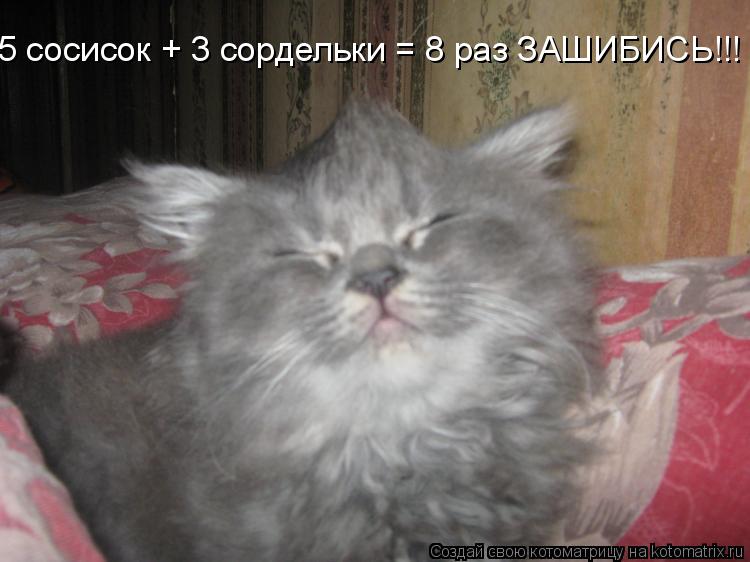 Котоматрица: 5 сосисок + 3 сордельки = 8 раз ЗАШИБИСЬ!!!
