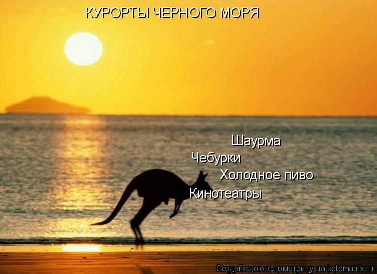 КУРОРТЫ ЧЕРНОГО МОРЯ Шаурма Чебурки Холодное пиво Кинотеатры... Котоматрица: КУРОРТЫ ЧЕРНОГО МОРЯ Шаурма Чебурки Холодное пиво Кинотеатры