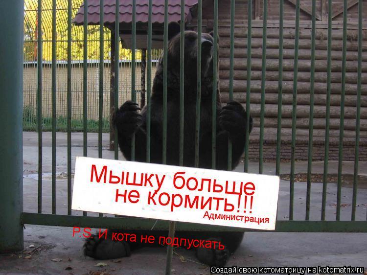 Котоматрица: P.S. И кота не подпускать