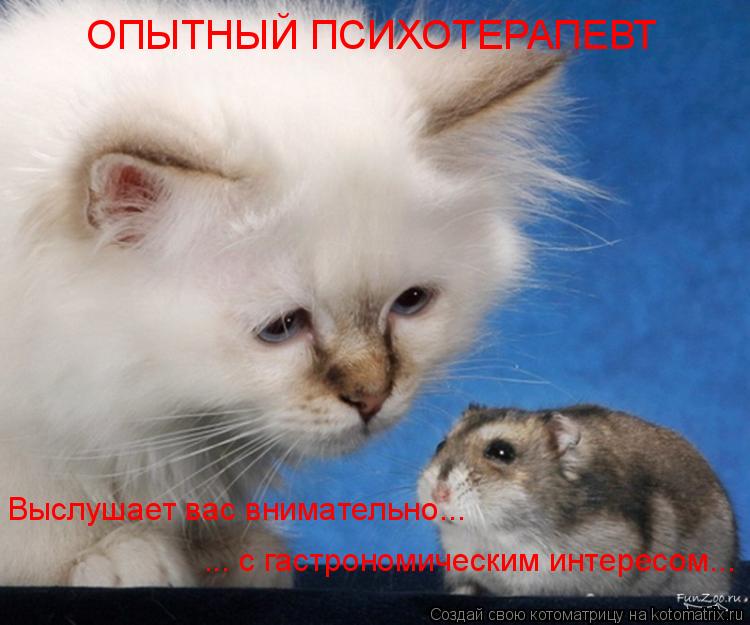 Котоматрица: ОПЫТНЫЙ ПСИХОТЕРАПЕВТ Выслушает вас внимательно... ... с гастрономическим интересом...