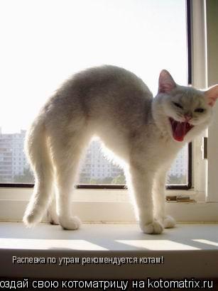 Котоматрица: Распевка по утрам рекомендуется котам!