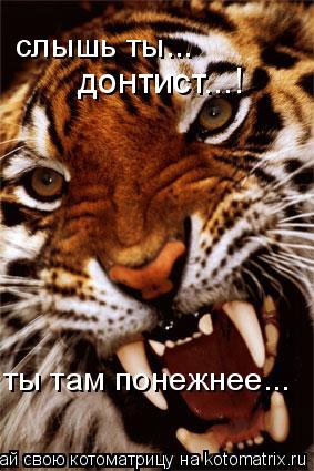 Котоматрица: слышь ты...  донтист...! ты там понежнее...