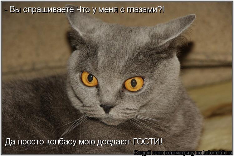 Котоматрица: - Вы спрашиваете Что у меня с глазами?! Да просто колбасу мою доедают ГОСТИ!