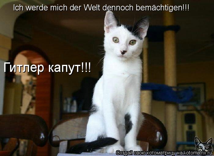 Котоматрица: Ich werde mich der Welt dennoch bem&#228;chtigen!!! Гитлер капут!!!