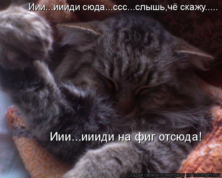 Котоматрица: Иии...иииди сюда...ссс...слышь,чё скажу..... Иии...иииди на фиг отсюда!