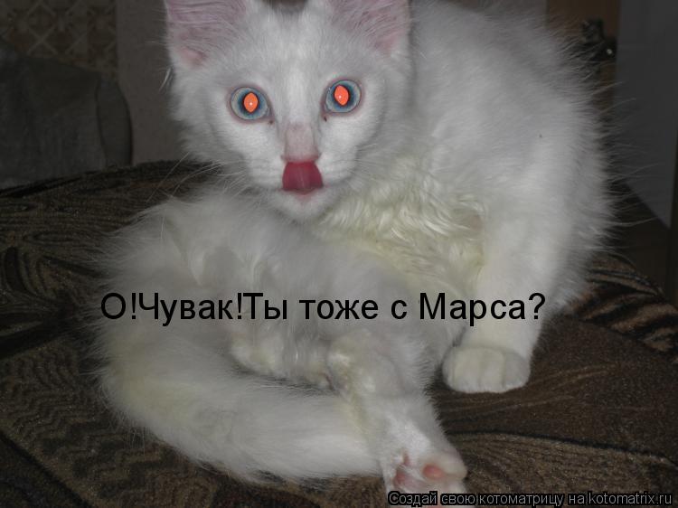 Котоматрица: О!Чувак!Ты тоже с Марса?