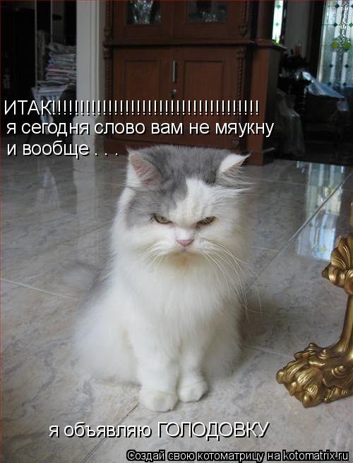 я сегодня слово вам не мяукну ИТАК!!!!!!!!!!!!!!!!!!!!!!!!!!!!!!!!!!!!! и вообще . . . я объявляю ГОЛ... Котоматрица: я сегодня слово вам не мяукну ИТАК!!!!!!!!!!!!!!!!!!!!!!!!!!!!!!!!!!!!! и вообще . . . я объявляю ГОЛОДОВКУ