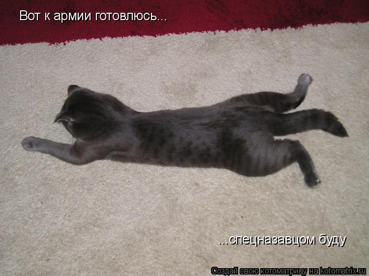 Котоматрица: Вот к армии готовлюсь... ...спецназавцом буду