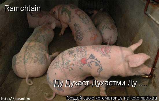 Котоматрица: Ramchtain Ду Духаст Духастми Ду ....