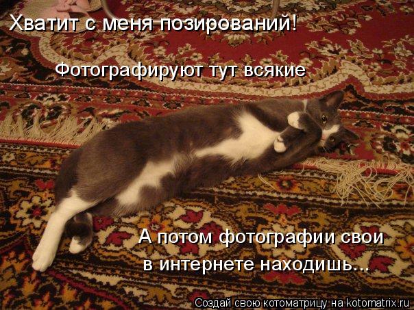 Котоматрица: Хватит с меня позирований! Фотографируют тут всякие А потом фотографии свои в интернете находишь...