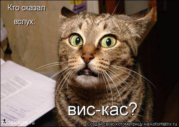 Котоматрица: Кто сказал вслух: вис-кас?