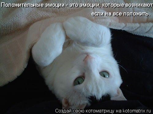 Котоматрица: Положительные эмоции - это эмоции, которые возникают, если на все положить.  если на все положить.
