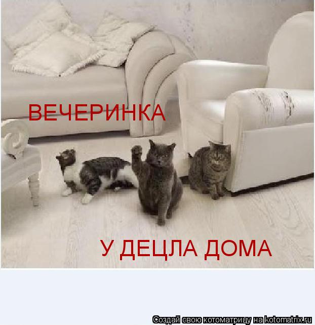 Котоматрица: ВЕЧЕРИНКА У ДЕЦЛА ДОМА