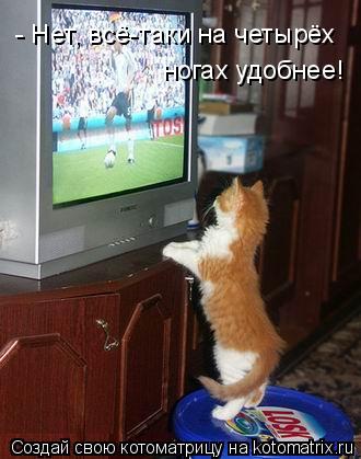 Котоматрица: - Нет, всё-таки на четырёх ногах удобнее!