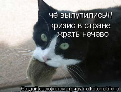 Котоматрица: чё вылупились !!! кризис в стране жрать нечево