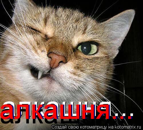 алкашня... алкашня... алкашня... алкашня... алкашня...... Котоматрица: алкашня... алкашня... алкашня... алкашня... алкашня...