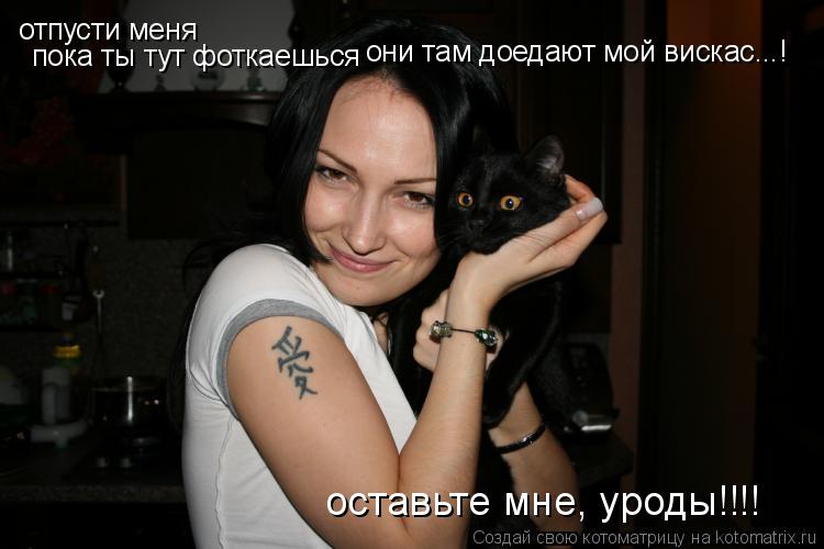 отпусти меня пока ты тут фоткаешься они там доедают мой вискас...! оставьте мне, уроды!!!!... Котоматрица: отпусти меня пока ты тут фоткаешься они там доедают мой вискас...! оставьте мне, уроды!!!!